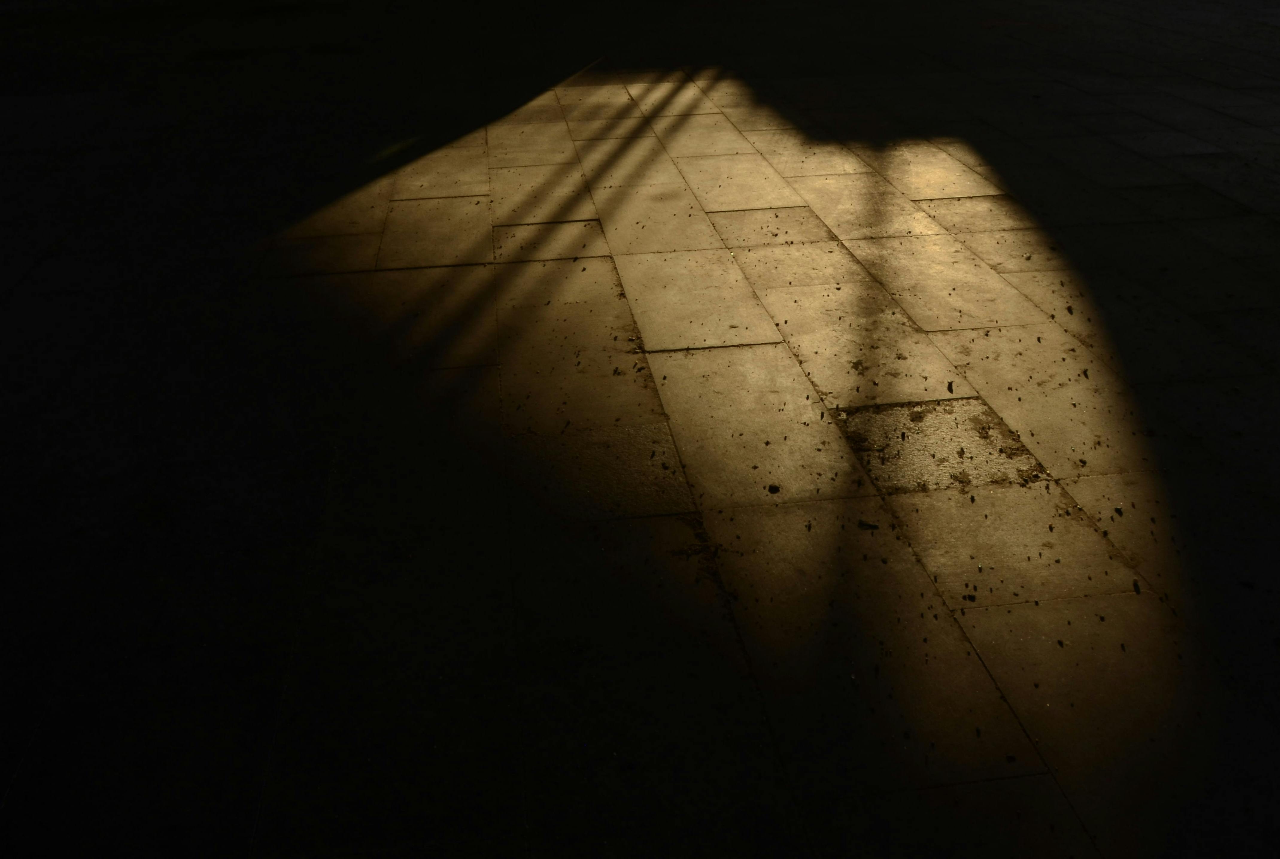 Shadow 